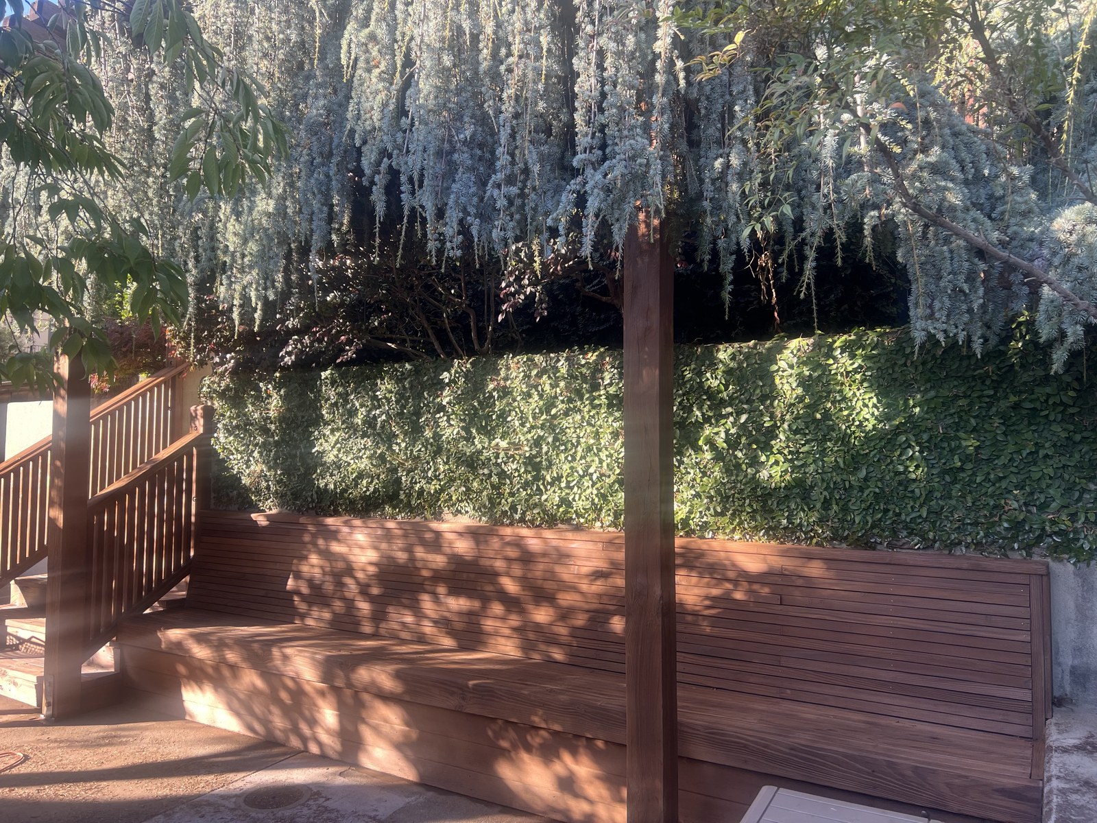 Restored built-in slatted bench and steps beneath a wisteria-covered pergola